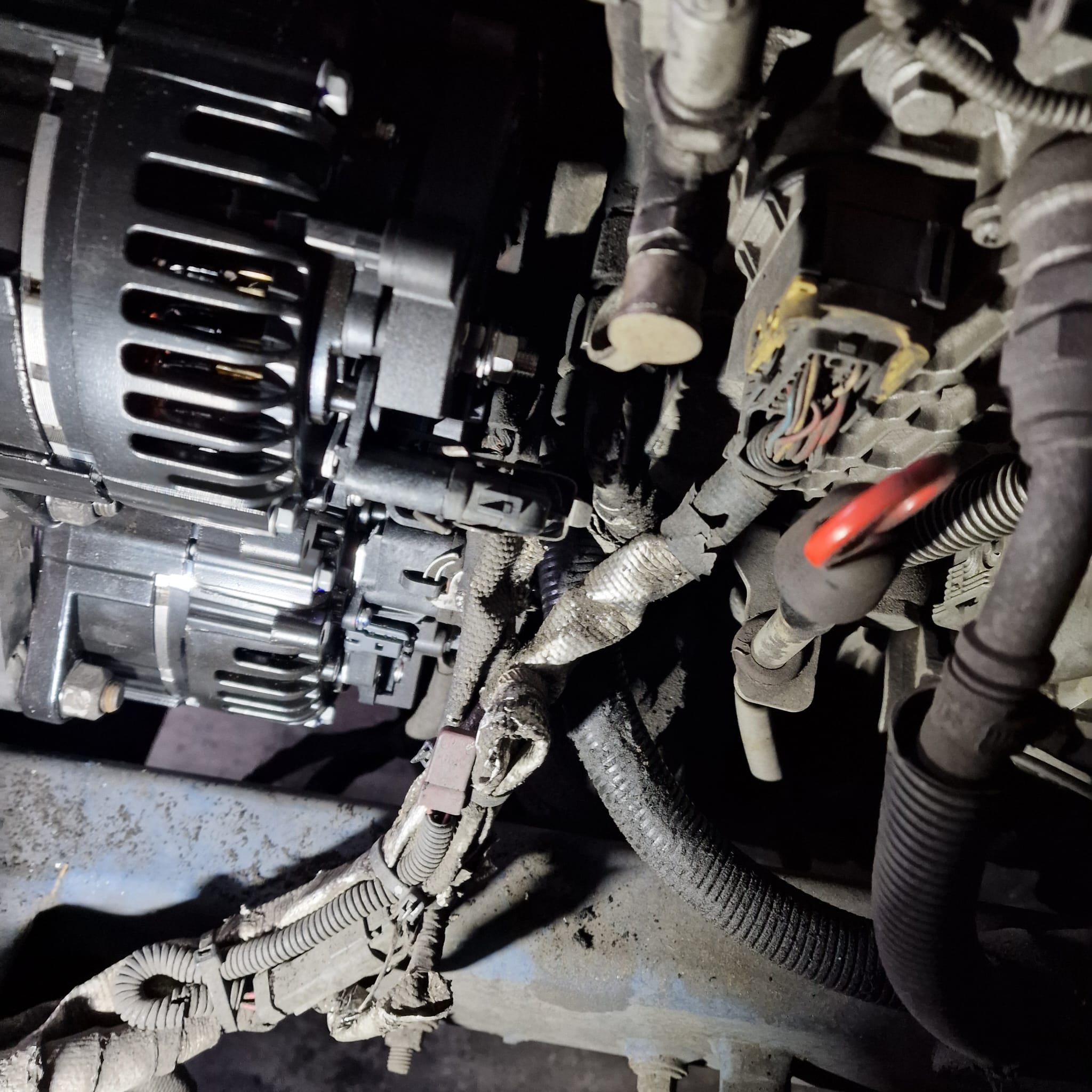 Back new alternator